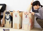 《柴犬收納盒》三隻柴柴幫你收好排排坐  《柴犬收納盒》三隻柴柴幫你收好排排坐