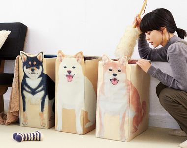 《柴犬收納盒》三隻柴柴幫你收好排排坐
