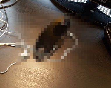 任天堂下一代主機《NX》手把照片流出！？