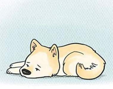 洋蔥？《當狗狗一個人在家》等等這結局跟我想的不一樣......