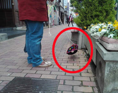 日本街頭《透明犬》出沒　明明聽見叫聲卻看不見狗狗蹤影！？