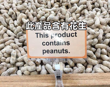 《愚蠢告示標誌》到底是真傻還是搞笑呢？www