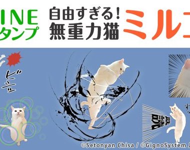 《無視重力大白貓》推出LINE貼圖 聊天也無法停止美妙的跳躍~✧