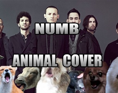 世界煩《聯合公園Numb動物叫聲版》讓各星球代表教你什麼是搖滾（誤）