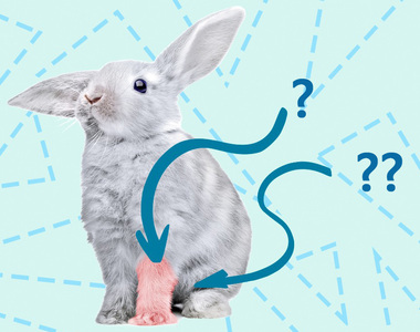 《幸運兔腳傳說》原來要留這一隻腳最幸運