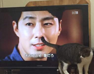 網友瘋傳《日常的奇蹟瞬間》老大你時機挑得還真好啊wwww