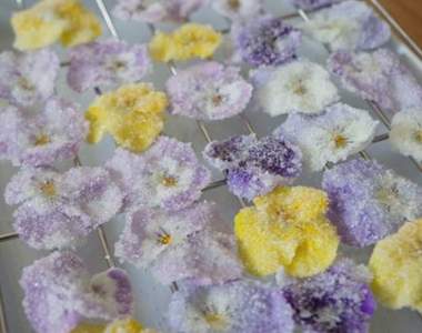 超夢幻《糖漬堇花》滿足少女視覺與口腹之慾的可愛小糖果～♥