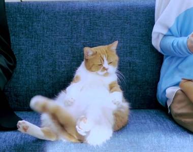 《如何搭電車也能看性格》車上都是空位的時候你會坐哪裡呢？