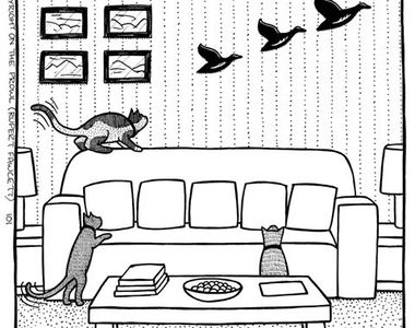 《On The Prowl》貓奴才懂箇中辛酸的網路漫畫