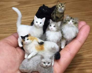 《迷你動物羊毛氈》只比硬幣大一點貓咪一掌可以握幾隻呢?♥