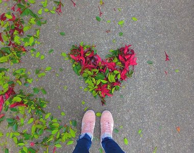 日本《落葉藝術畫》美美的落葉畫給人滿滿好心情
