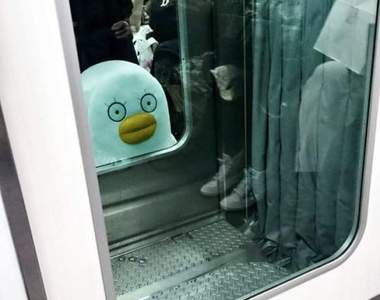 推特《日常生活中感受到的視線》那些盯得你心裡直發寒的真相是...!?