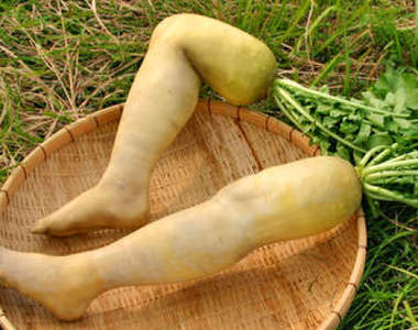 《鬼壓床的恐怖經驗》鬼有一雙蘿蔔腿?而且心靈還很脆弱……