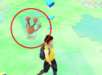 Pokemon GO《精靈寶可夢融合術》各種奇妙的新品種誕生中XD Pokemon GO《精靈寶可夢融合術》各種奇妙的新品種誕生中XD