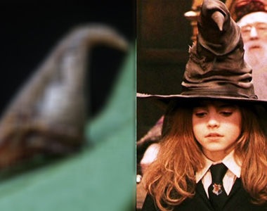 【蜘蛛注意】哈利波特《分類帽蜘蛛》發現 難怪榮恩表情這麼奇怪...