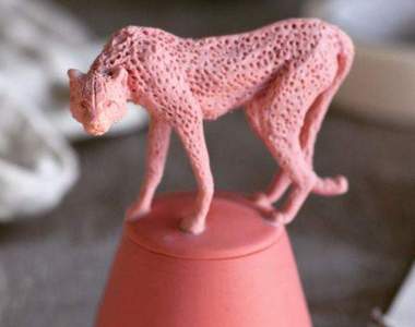 《茶杯上的瀕危動物》動物們占據杯口不讓你喝茶的原因是......