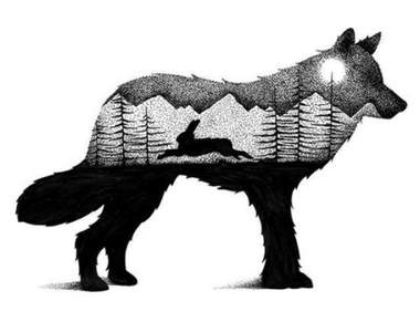 《動物奇幻點畫》用一隻黑筆就可以點出動物身上的小宇宙