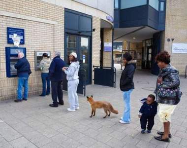 《ATM前的珍奇百景》小小一台ATM前面還真的什麼事都可能發生ww