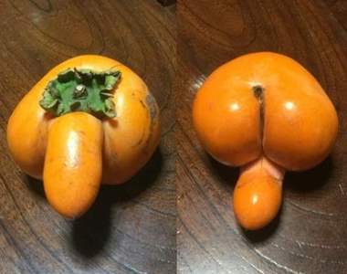 《長得像小雞雞的柿子》莫名在推特上開始了猥褻蔬果的照片交流大會www