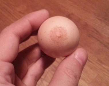 《日常生活的不思議瞬間》我竟然看到奶頭雞蛋......？（揉眼）