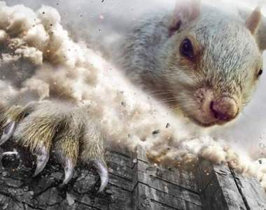 網友力拼《松鼠PS大戰》沒有狂只有更狂的改圖就此誕生