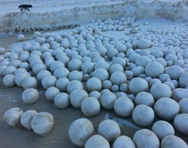 《俄羅斯海岸奇景》戰鬥民族就是冬天雪球會自動堆好