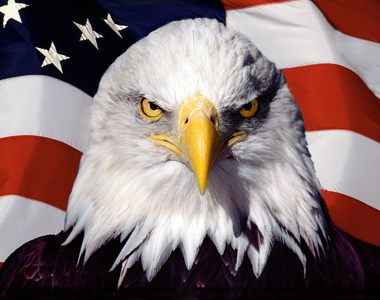 KUSO《如果霍格華茲在美國》你們到底有多愛老鷹？