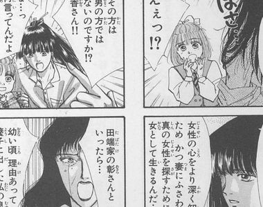 《女裝兄弟偽百合》網路流傳已久的搞笑四格漫畫