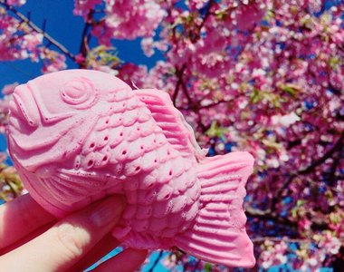 粉粉嫩嫩的《櫻花鯛魚燒》看的我口水都要留下來惹