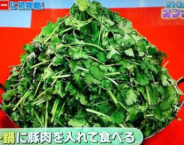 日本網友眼中的台灣毒物《超級香菜鍋》吃完這鍋就再也不怕了……