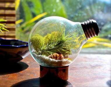 《DIY燈泡盆栽》自己動手做做可愛的生態世界