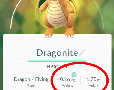 Pokemon Go《精靈寶可夢的身高體重》如果照比例畫出來的話會是...