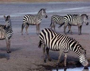 5秒眼力測驗《從畫面中找出懸疑處》不用拿放大鏡把網頁200%放大看就好XD