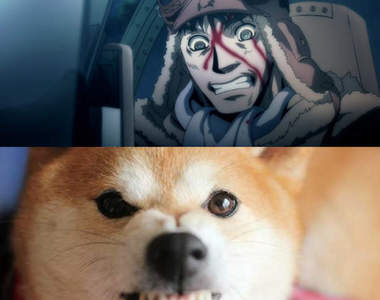漂流武士《菅野直vs.柴犬》人家明明是空中的狂犬啊混帳東西ww