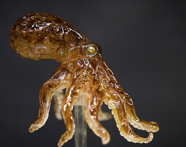 《動物糖雕》浅草飴細工越來越強大了啊阿