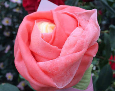 《山茶花可麗餅》可愛到讓人捨不得吃掉的岩手新名物