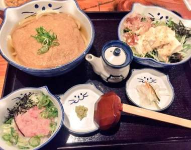 日本萌推《貓食器定食》喵星人佔據餐桌麵吃起來也更美味♥