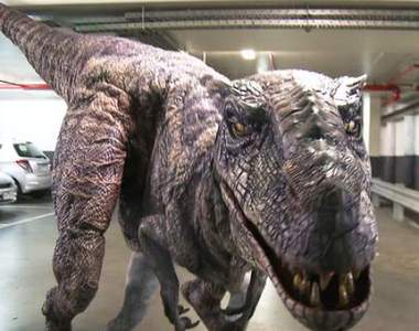 《老外被整動圖大會串》轉角遇到恐龍是一種即將要被吃掉的概念www