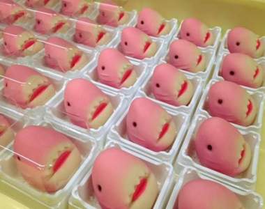 兒童節限定《粉色鯊魚生菓子》命運就是愛捉弄人啊（？）