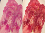 《女生拍的美食照》濾鏡用過頭 拍食物就不要用濾鏡了啦XD  《女生拍的美食照》濾鏡用過頭 拍食物就不要用濾鏡了啦XD
