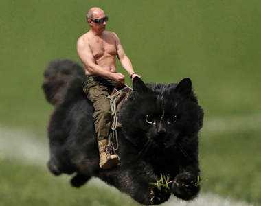 《橄欖球賽亂入黑貓》又是一場可歌可泣的PS改圖大賽