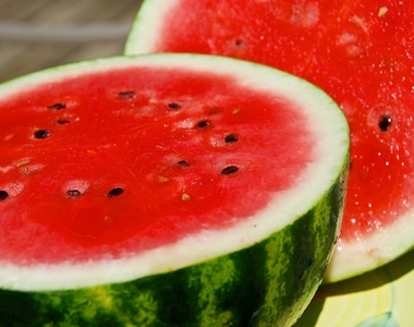 《蔬果的祖先》原來以前西瓜跟現在長得不一樣⊙﹏⊙