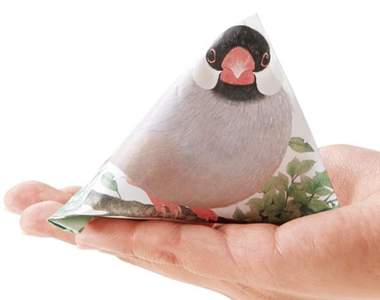 《文鳥信封袋》摺成粽子型就像小文鳥窩在自己手中♥