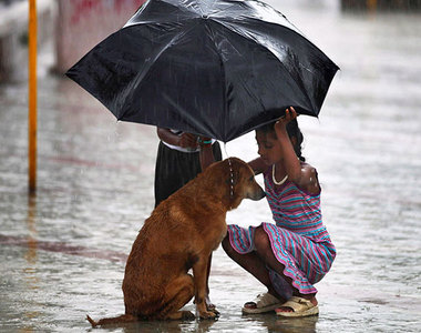 溫馨小洋蔥《孩子們都是天使》小朋友們善心的舉動