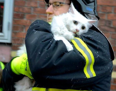《消防隊員與救助的動物們》生命都一樣平等且珍貴