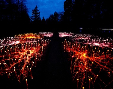 《草地上的銀河》藝術與浪漫兼具的美景