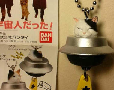 完全一致系列 什麼～《貓咪外星人》要來統治藍星人了嗎？