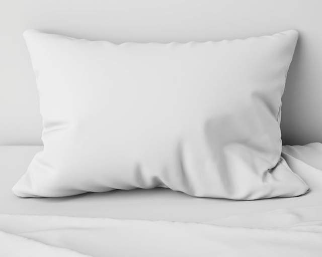 《黏毛滚轮的7种用法》第一种就是拿去伺候猫老大XD - 图片5 《黏毛滚轮的7种用法》第一种就是拿去伺候猫老大XD