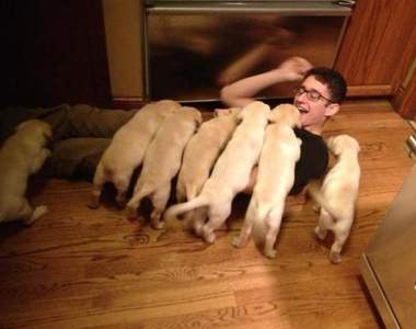 《萌犬注意》用可愛襲擊人類的小狗狗♥