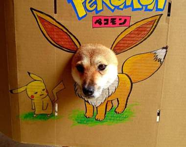 伊布最終型態?《柴犬的無奈cosplay》咦違和感跑到哪裡去惹…